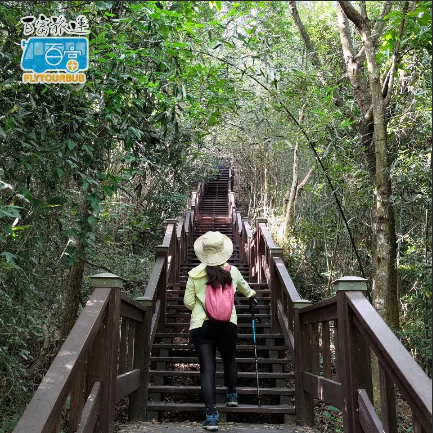 台中后里│鳳凰山步道